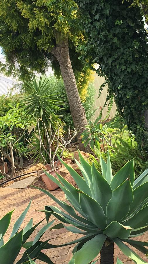 Armadale Cottage Bed & Breakfast Redcliffe Luaran gambar
